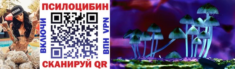 omg зеркало  Североуральск  Галлюциногенные грибы прущие грибы 