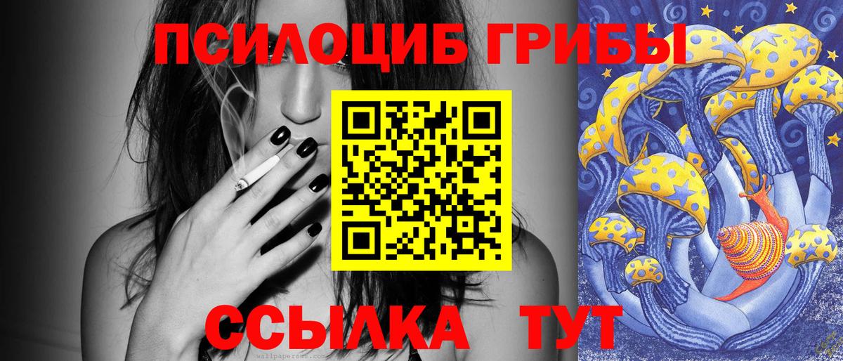 Псилоцибиновые грибы Cubensis Североуральск