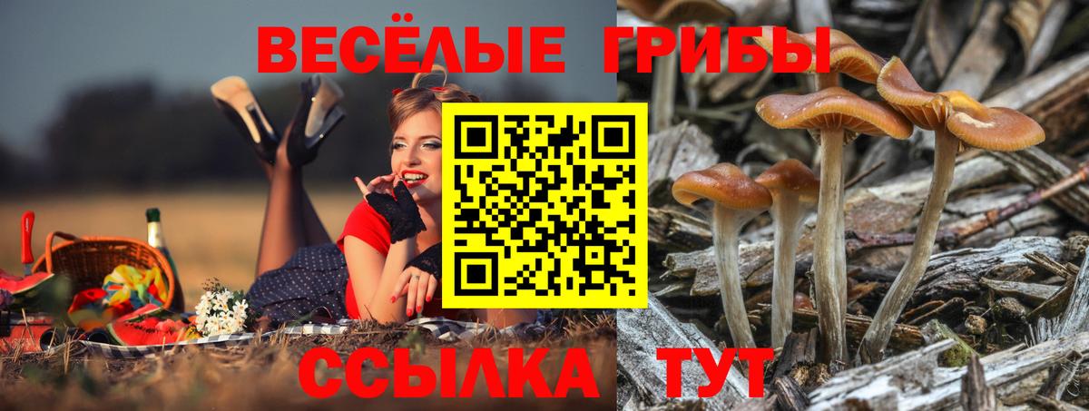Псилоцибиновые грибы ЛСД  Вход с VPN  Псилоцибиновые грибы GOLDEN TEACHER  Североуральск 